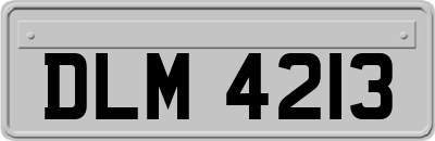 DLM4213