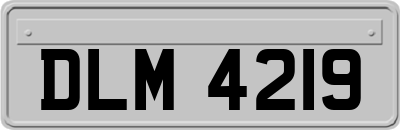 DLM4219