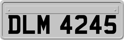 DLM4245