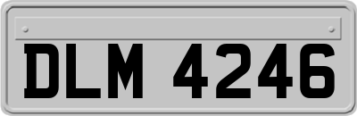 DLM4246