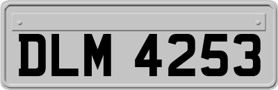 DLM4253