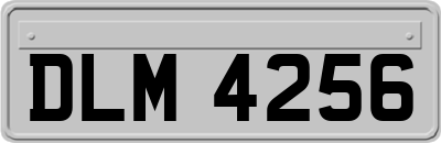 DLM4256