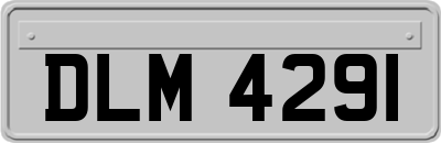 DLM4291