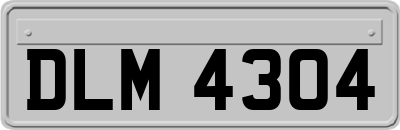 DLM4304