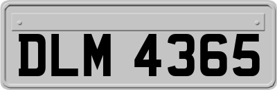 DLM4365
