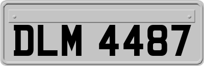 DLM4487