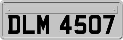 DLM4507