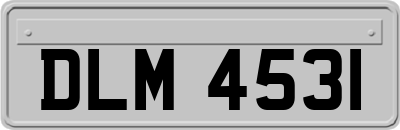 DLM4531