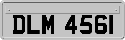 DLM4561