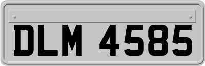 DLM4585