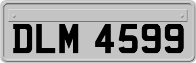 DLM4599