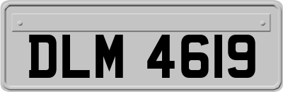 DLM4619