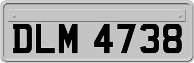 DLM4738