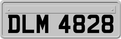DLM4828