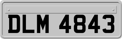 DLM4843