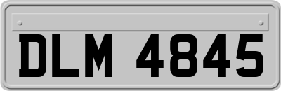 DLM4845