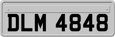 DLM4848