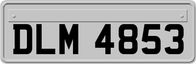 DLM4853