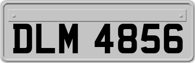 DLM4856