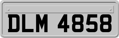 DLM4858