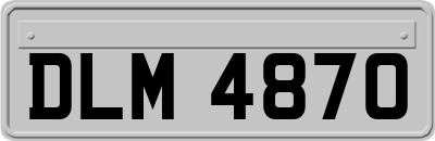 DLM4870
