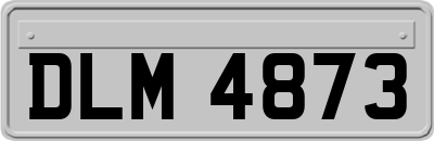 DLM4873