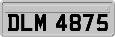 DLM4875