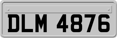 DLM4876