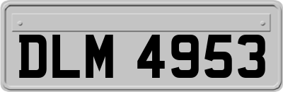 DLM4953