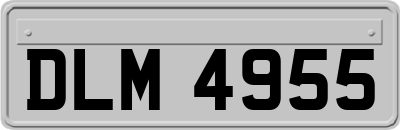 DLM4955