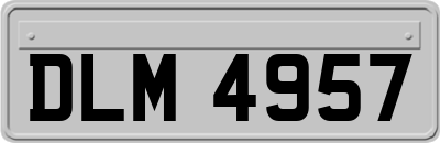 DLM4957