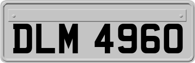 DLM4960