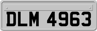 DLM4963