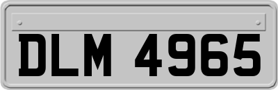 DLM4965