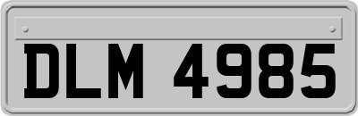 DLM4985