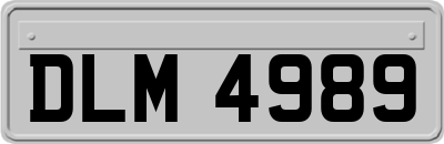 DLM4989