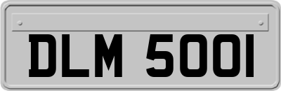 DLM5001