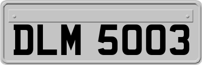 DLM5003