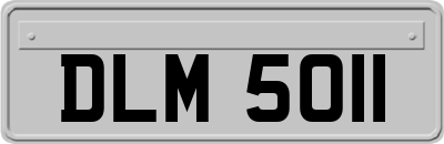 DLM5011