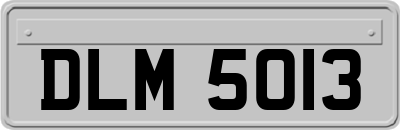 DLM5013