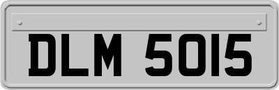 DLM5015
