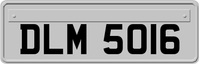 DLM5016