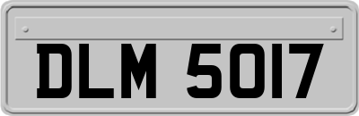 DLM5017