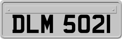 DLM5021