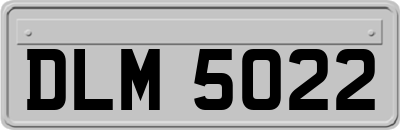 DLM5022
