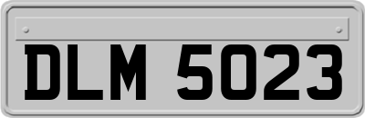 DLM5023