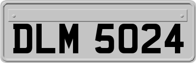 DLM5024