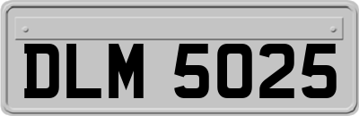 DLM5025