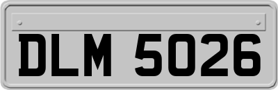 DLM5026