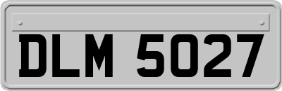 DLM5027